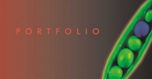 portfolio-300x157